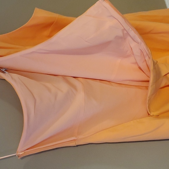 LIKELY Gonnella Dress In Birds Of Paradise Orange Size 14 NWT'S - Picture 8 of 14